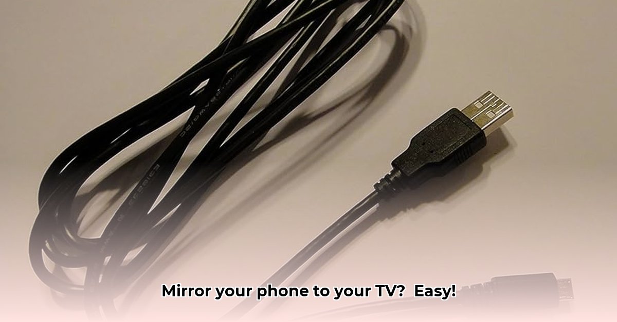 tv-express-usb